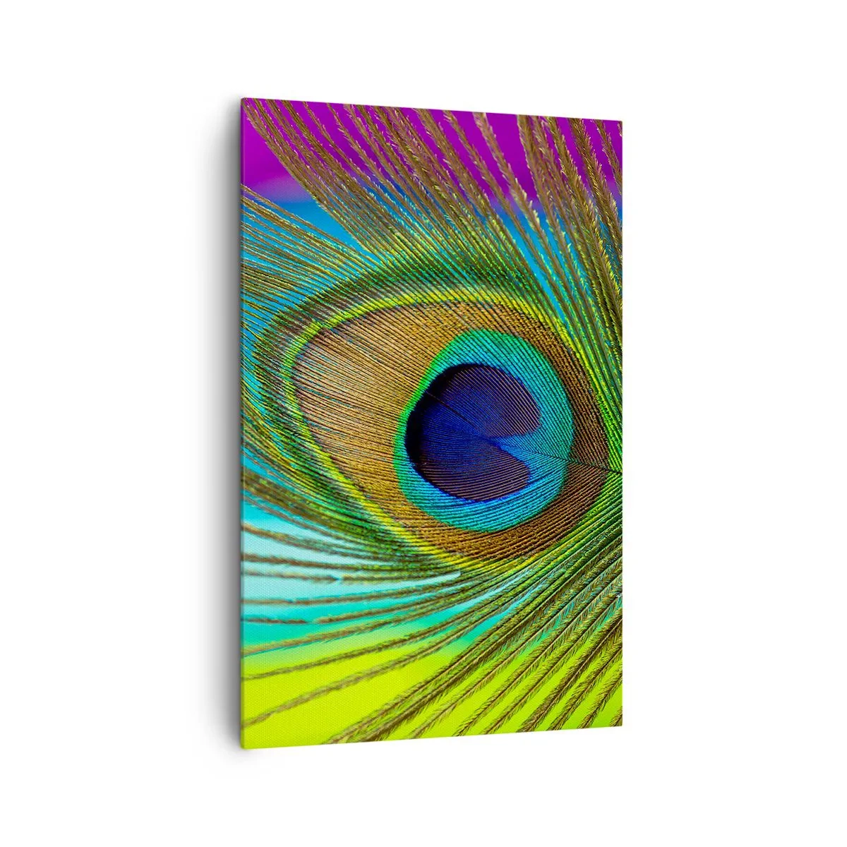 Canvas picture - Eye to Eye - 80x120 cm