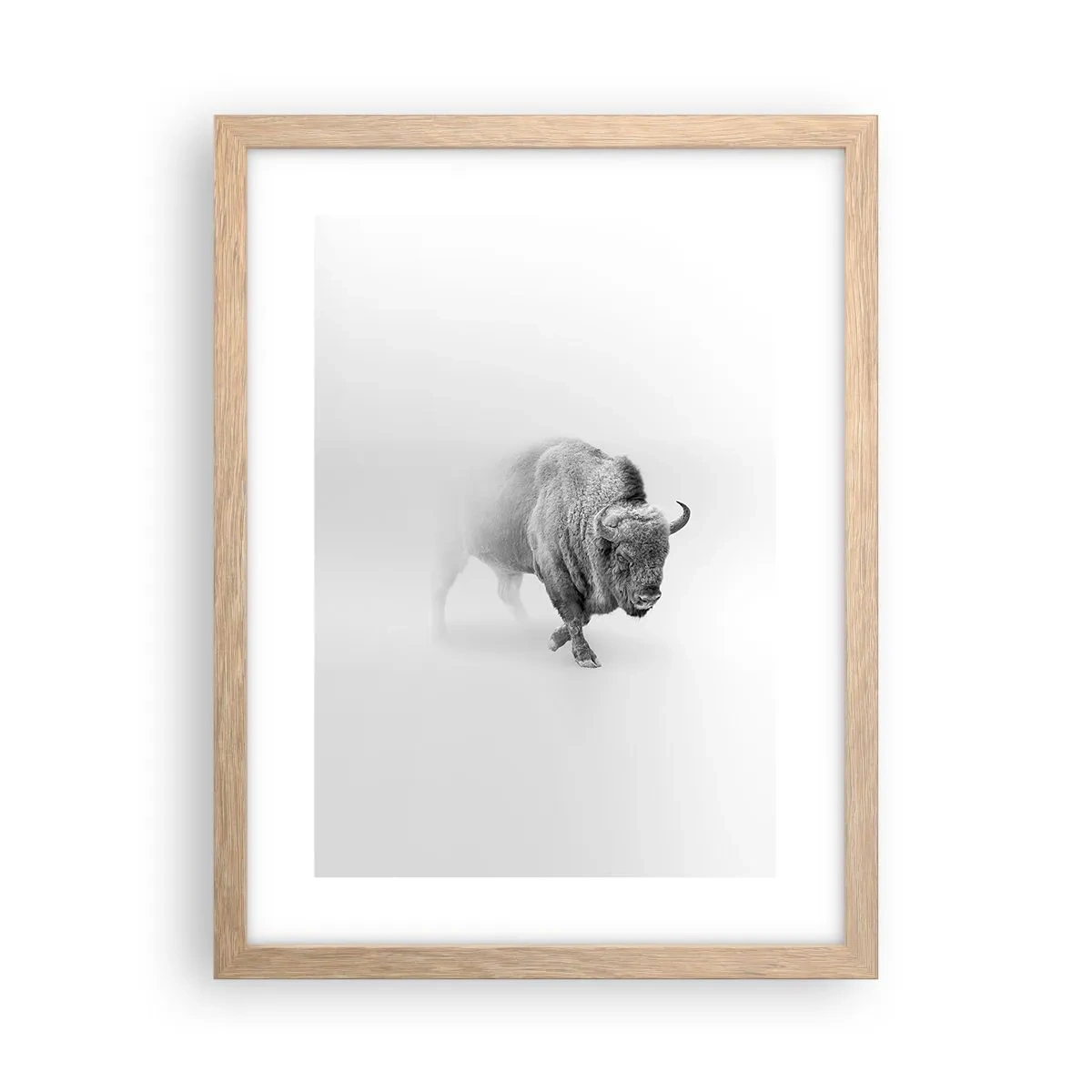 Poster in light oak frame - King of the Prairie - 30x40 cm