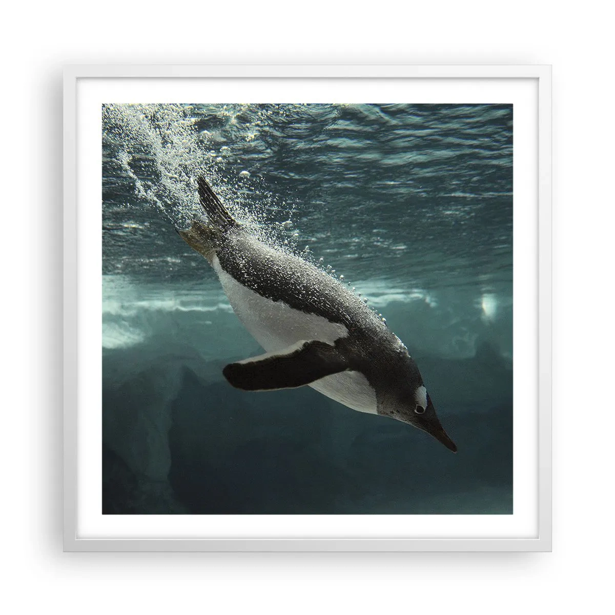 Poster in white frmae - Welcome to My World - 60x60 cm