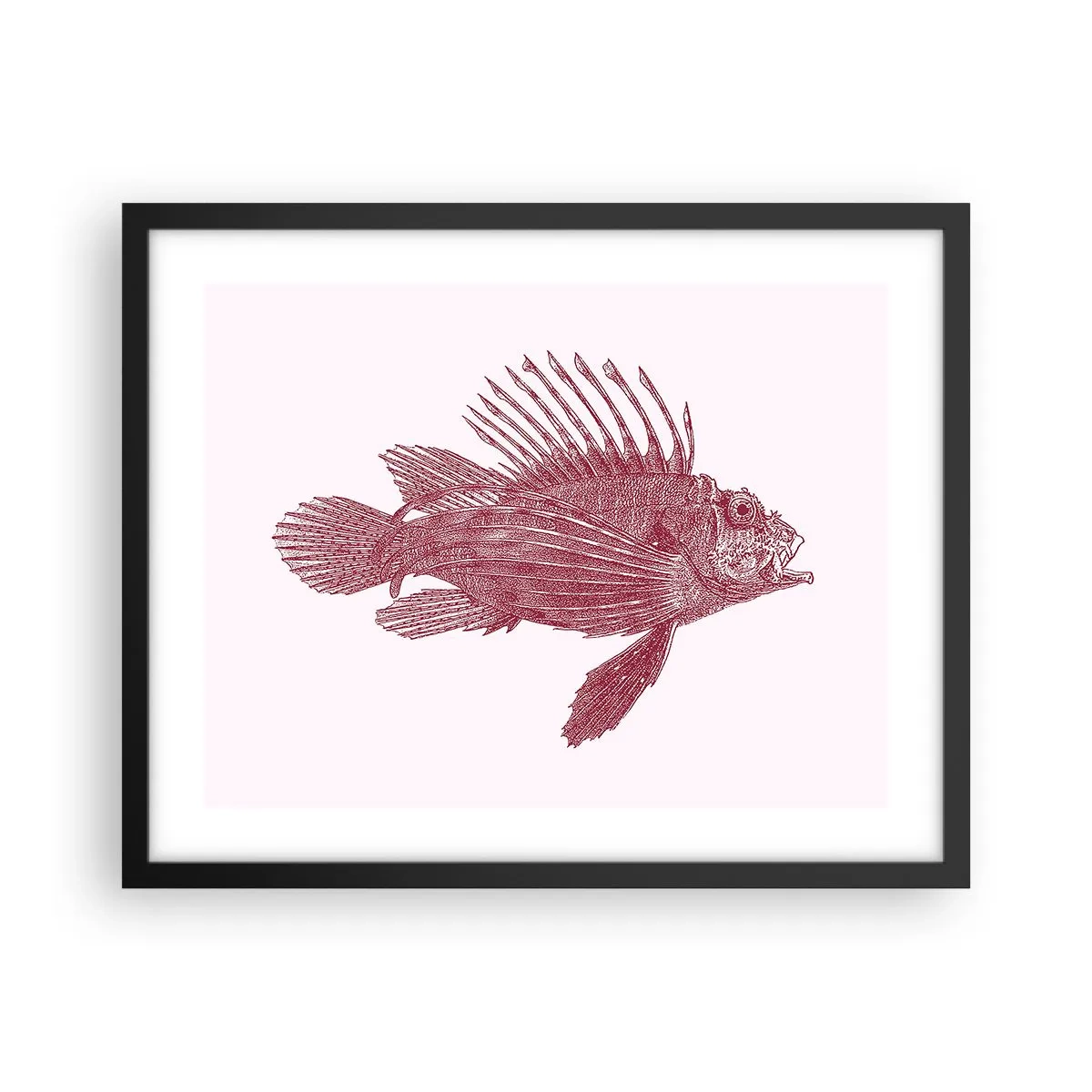 Poster in black frame - Dweller of Exotic Waters - 50x40 cm