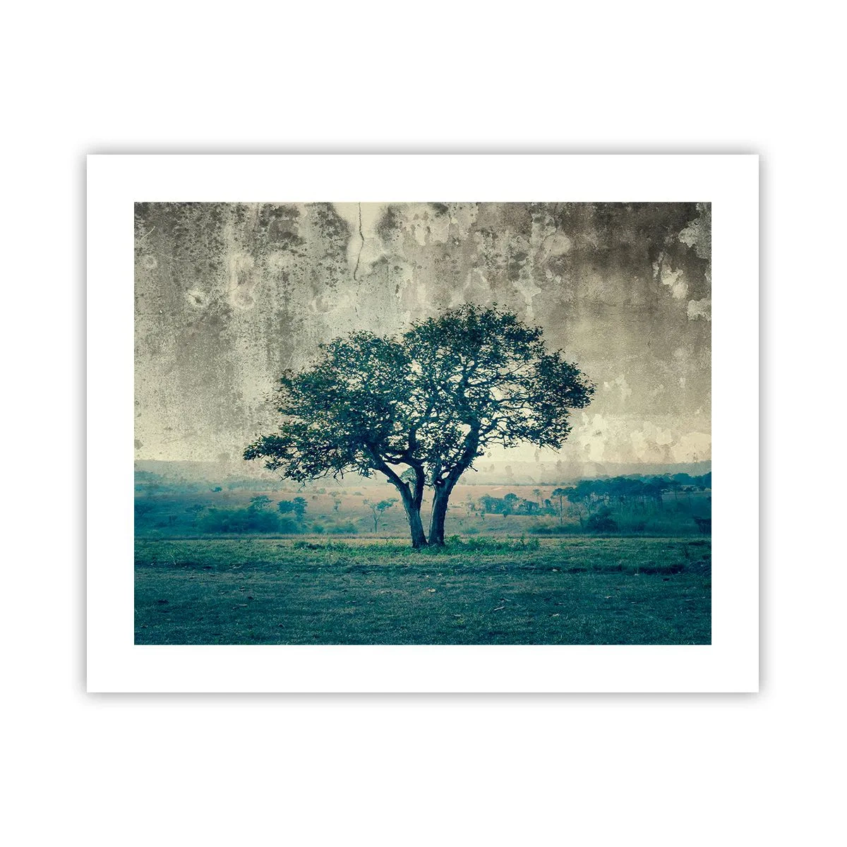 Poster - Apple Tree in Blue? - 50x40 cm