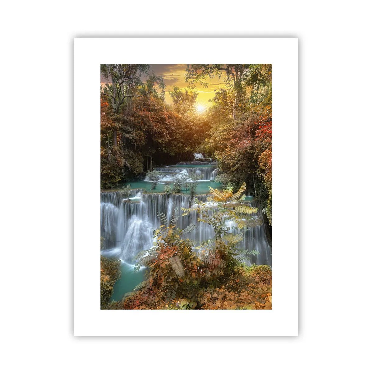 Poster - Hidden Forest Treasure - 30x40 cm