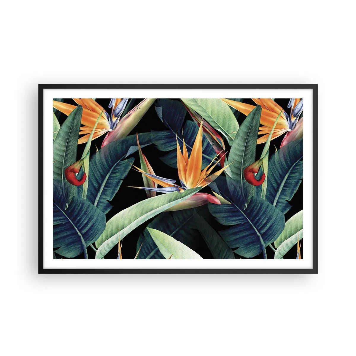 Poster in black frame - Flaming Flowers of the Tropics - 91x61 cm