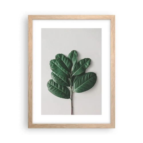 Poster in light oak frame - Drawing of Nature Itself - 30x40 cm