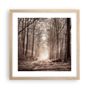 Poster in light oak frame - Cathedral of the Forest - 40x40 cm