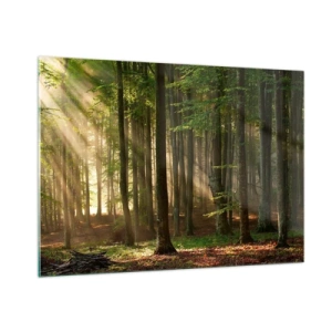 Glass picture - Beaming in Spring Morning - 100x70 cm