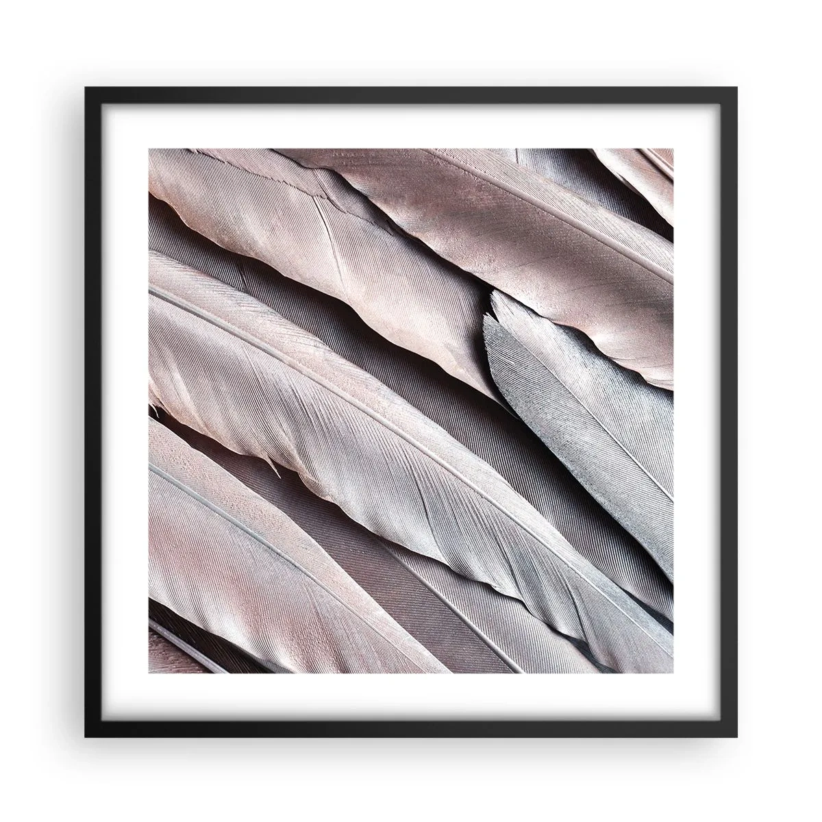 Poster in black frame - In Pink Silverness - 50x50 cm