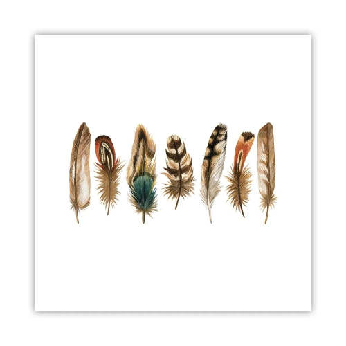 Poster - Feather Variation - 30x30 cm