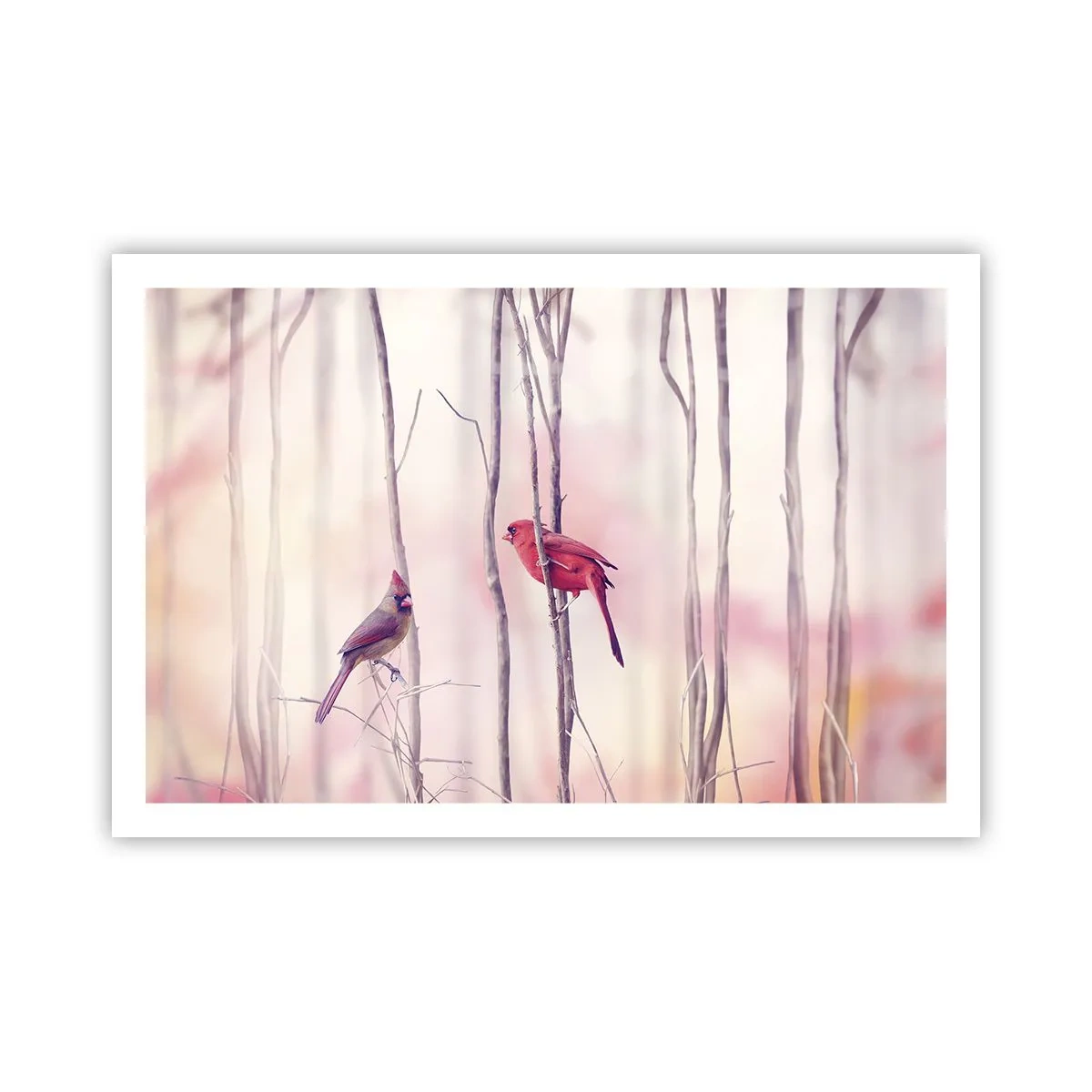 Poster - Tale of a Pink Forest - 91x61 cm