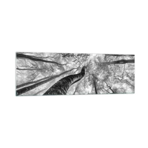 Glass picture - Race for the Light - 160x50 cm