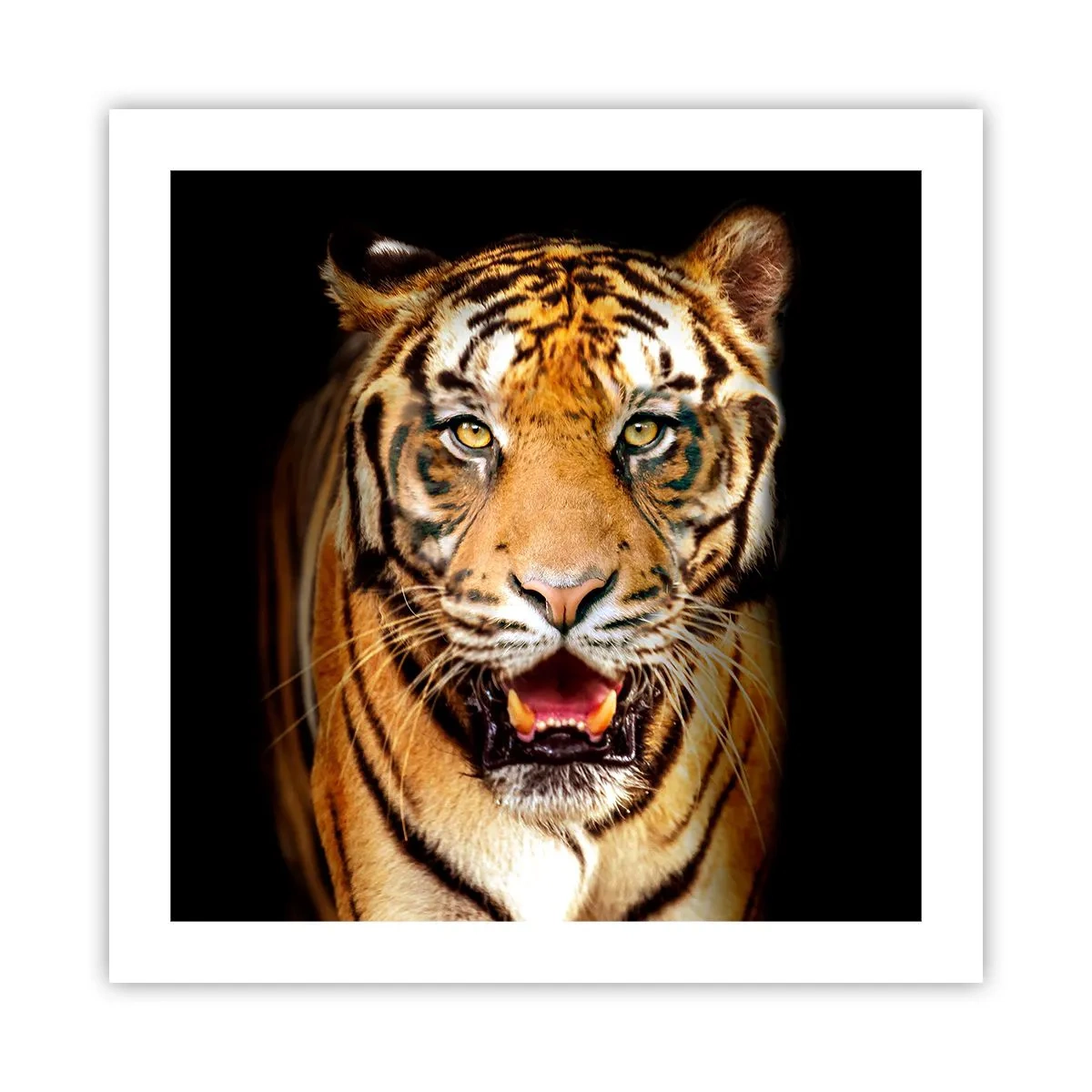 Poster - Wild at Heart - 50x50 cm