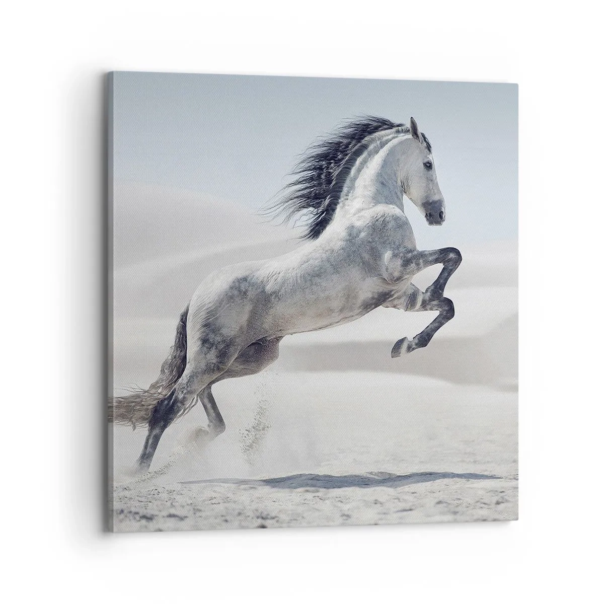 Canvas picture - Arabic Prince - 70x70 cm