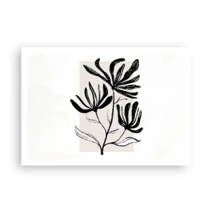 Poster - Sketch for a Herbarium - 100x70 cm