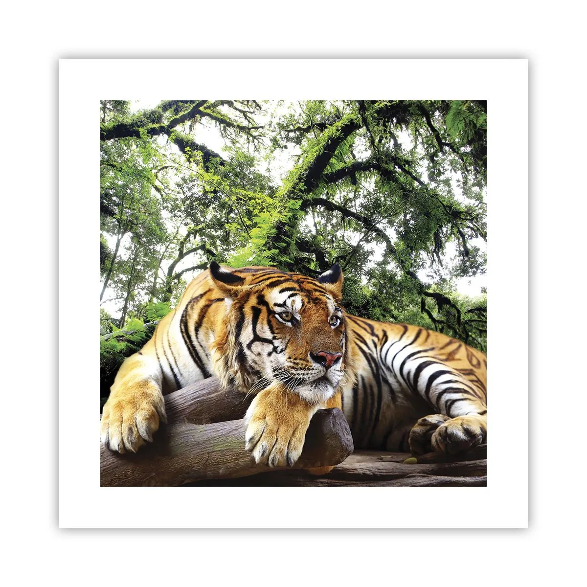 Poster - Best Regards - 40x40 cm