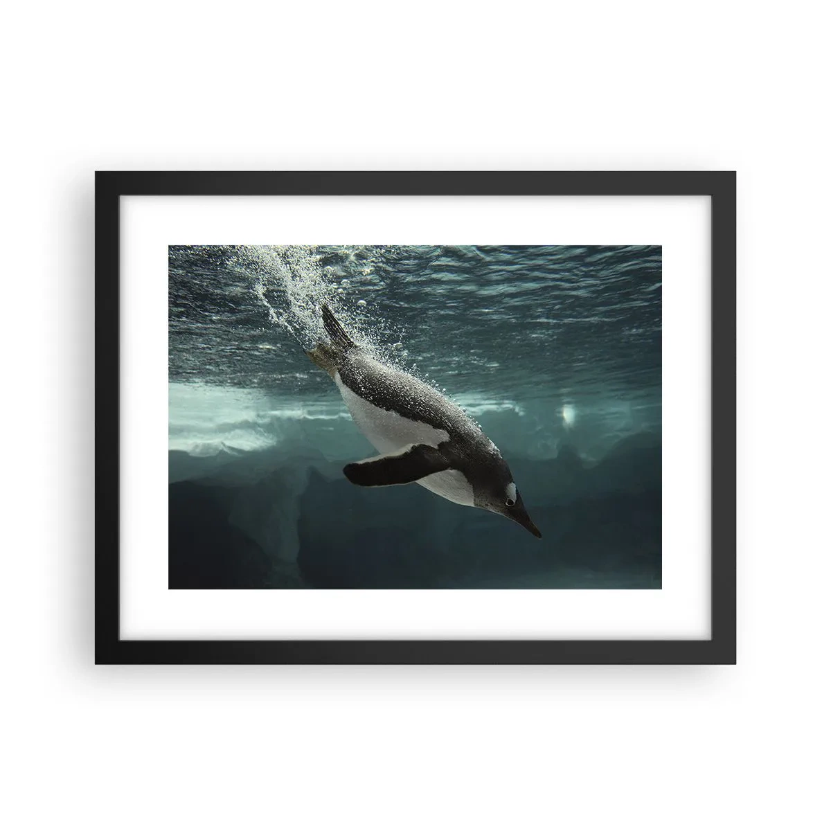 Poster in black frame - Welcome to My World - 40x30 cm