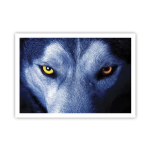 Poster - Mesmerising Look - 100x70 cm