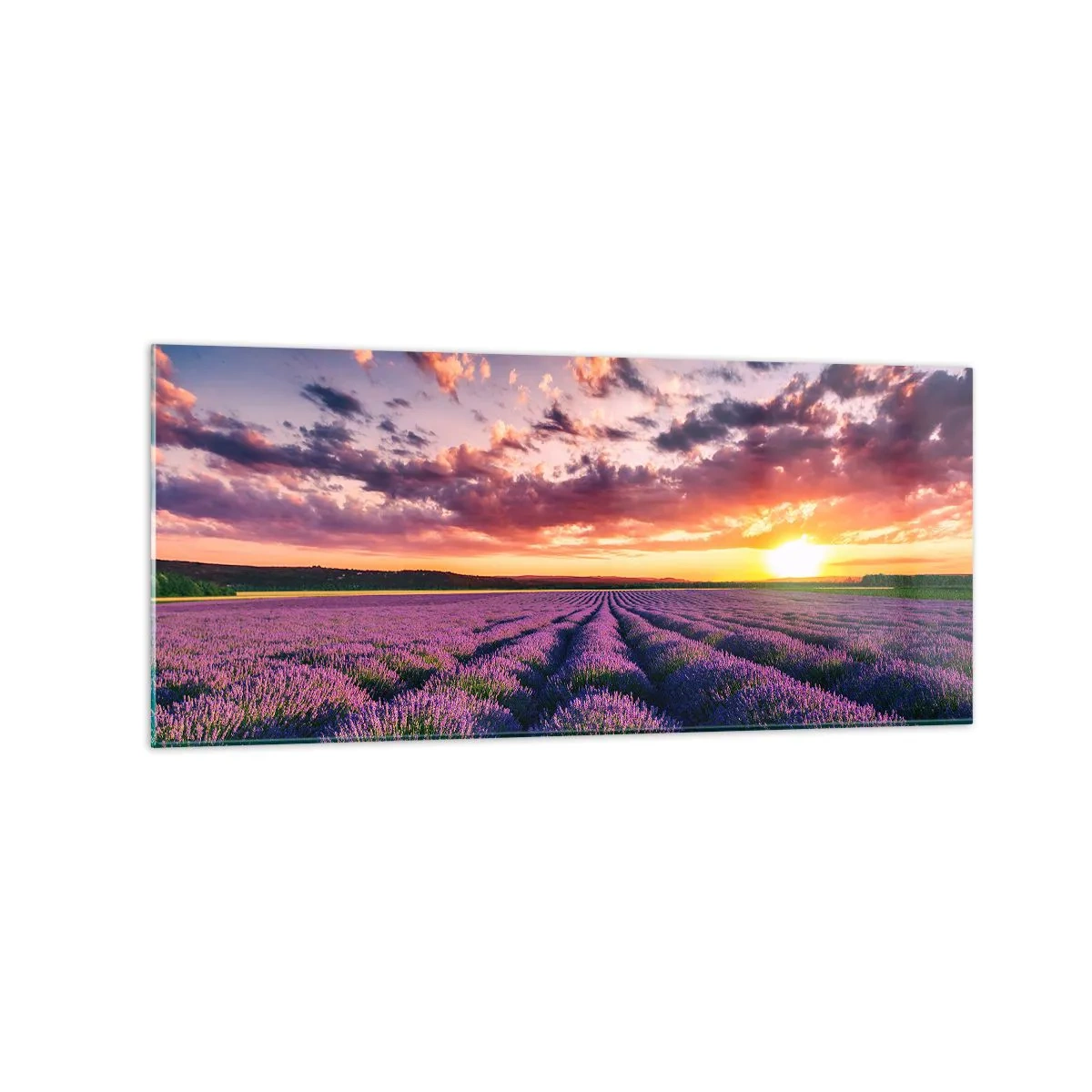 Glass picture - Lavender World - 120x50 cm