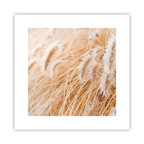 Poster - Golden Rustling of Grass - 30x30 cm
