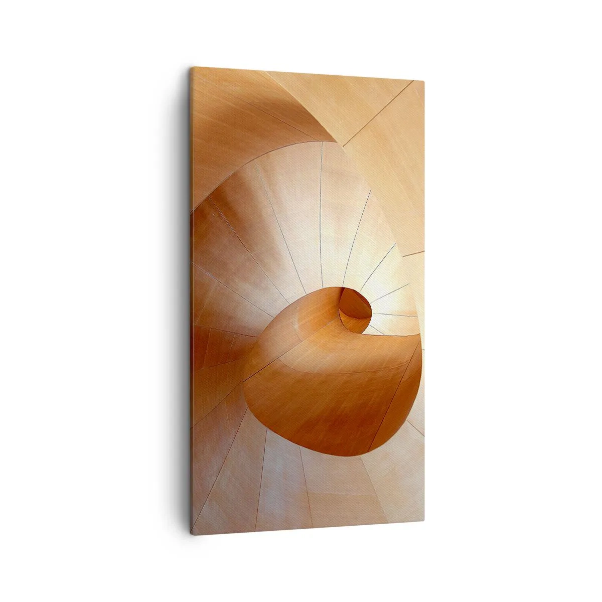 Canvas picture - Architectural Serpentine - 45x80 cm