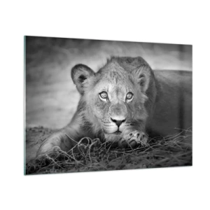 Glass picture - Royal Puppy - 100x70 cm