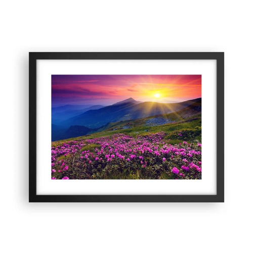 Poster in black frame - Surrounded by Mountain Pine and Herbs - 40x30 cm