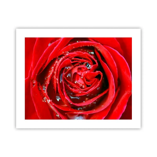 Poster - In Dew Drops - 50x40 cm