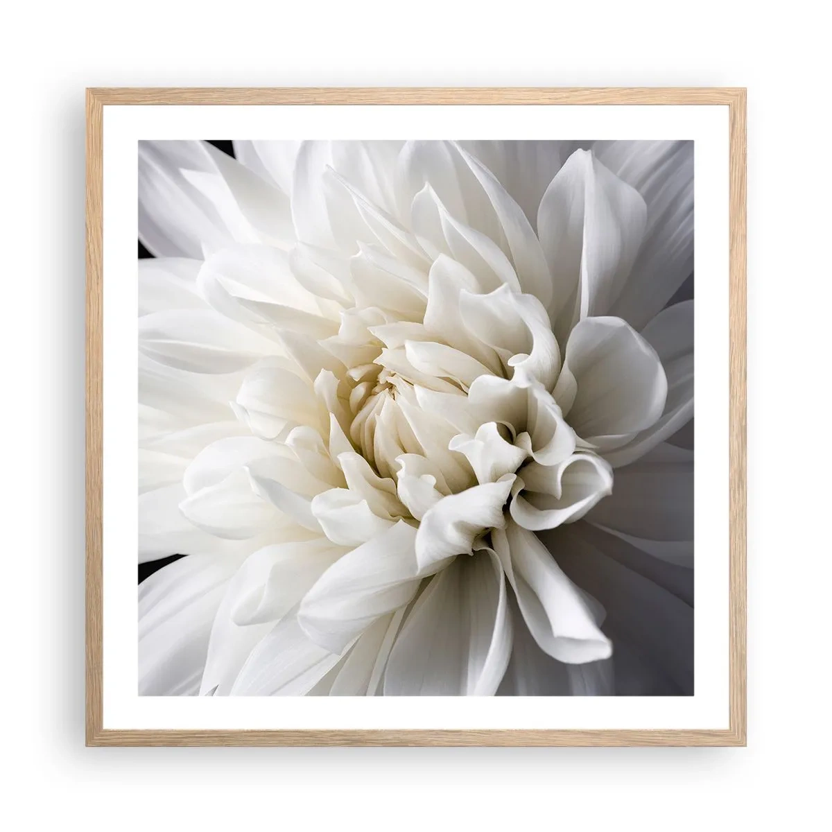 Poster in light oak frame - Bride's Morning - 60x60 cm