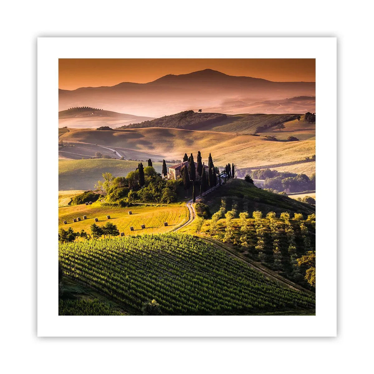 Poster - Arcadia - Tuscan Landscape - 50x50 cm