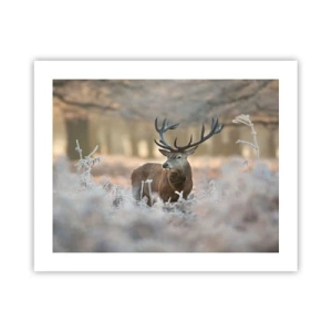 Poster - Chilly Morning - 50x40 cm