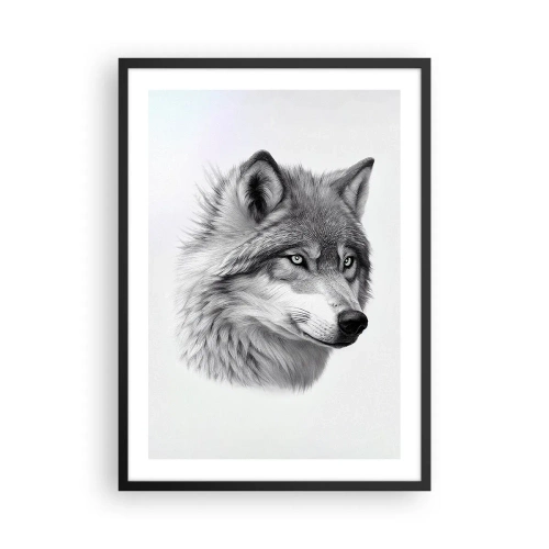 Poster in black frame - A realistic portrait of a wolf in shades of gray. - 50x70cm - Alpha - Without a Doubt - Modern wall decoration for the living room and bedroom ARTTOR