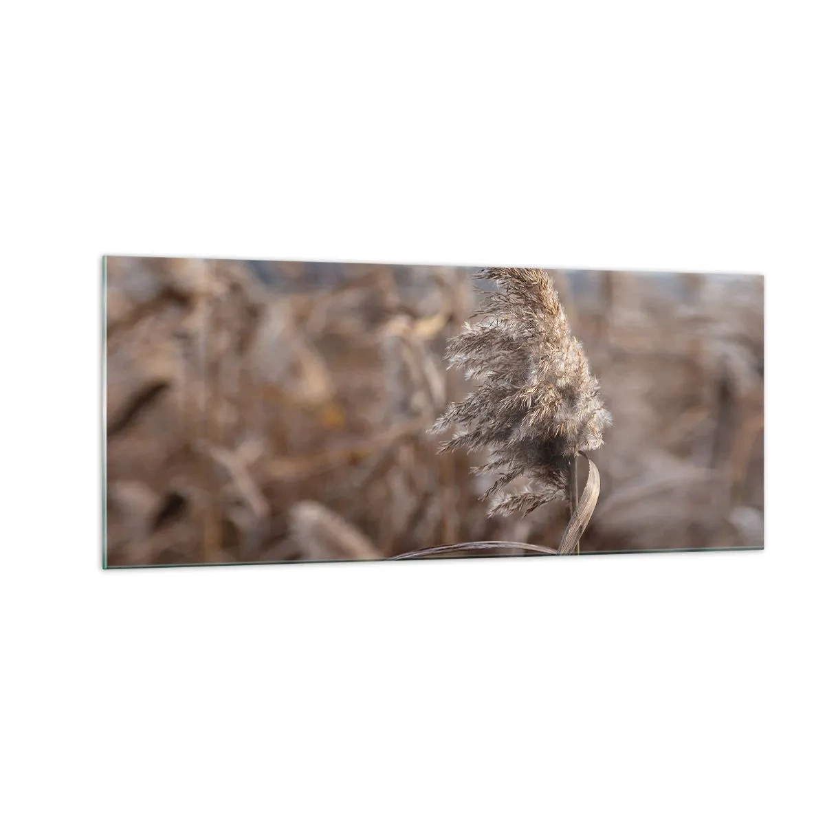 Glass picture - Time to Fly with the Wind - 100x40 cm