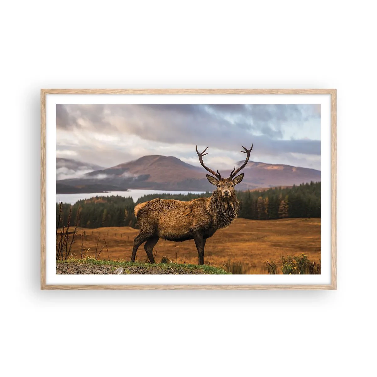 Poster in light oak frame - Majesty of Nature - 91x61 cm