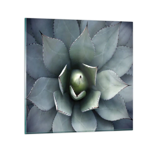 Glass picture - Attracts and Warns - 50x50 cm