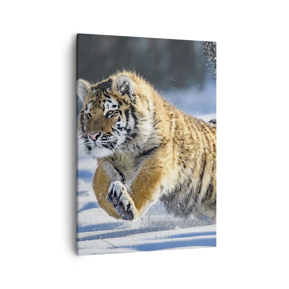 Canvas picture - God of Siberian Taiga - 50x70 cm