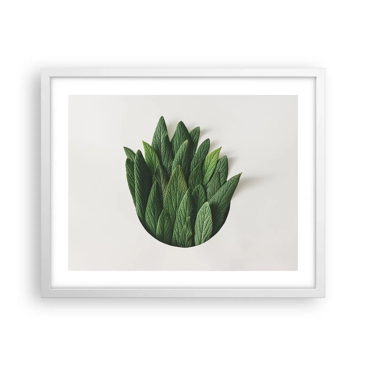 Poster in white frmae - Untamed Curiosity - 50x40 cm