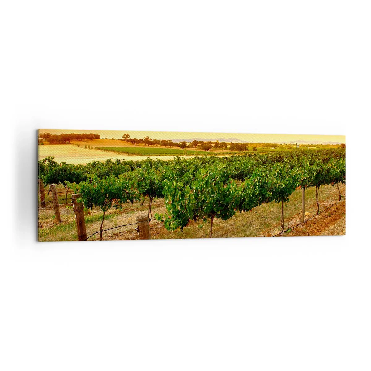 Canvas picture - Drink up the Sun - 160x50 cm
