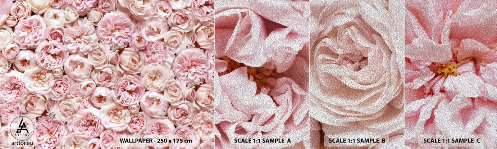 Photo Wallpaper Sample Premium Sand - Decked with Roses - Flowers, Pastel, Roses - 100x30 cm