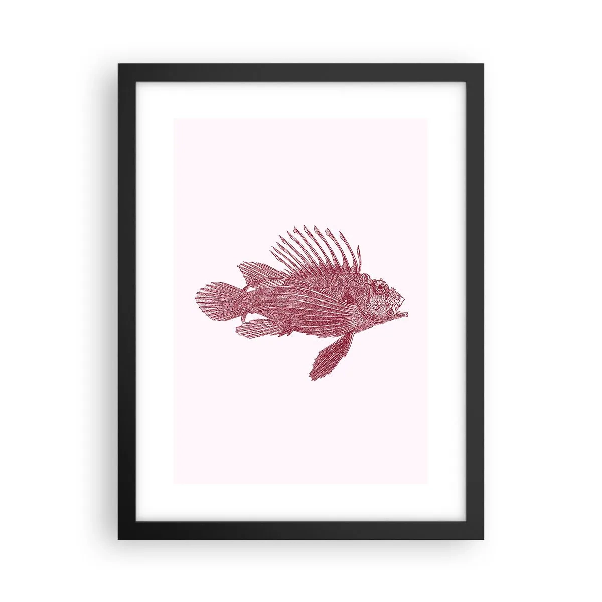 Poster in black frame - Dweller of Exotic Waters - 30x40 cm
