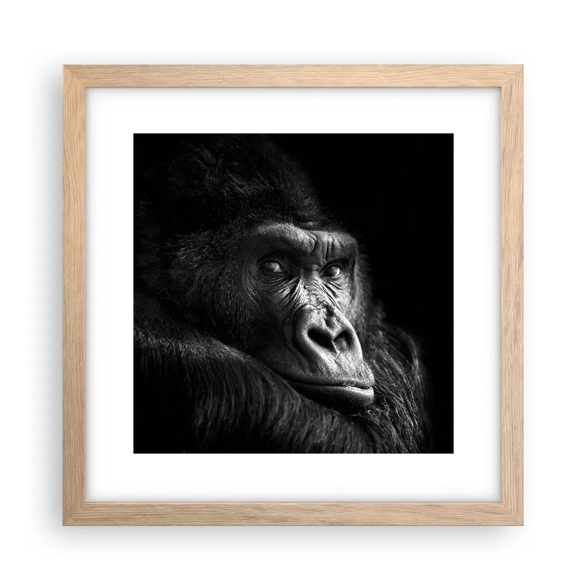 Poster in light oak frame - What Are You Looking At? - 30x30 cm