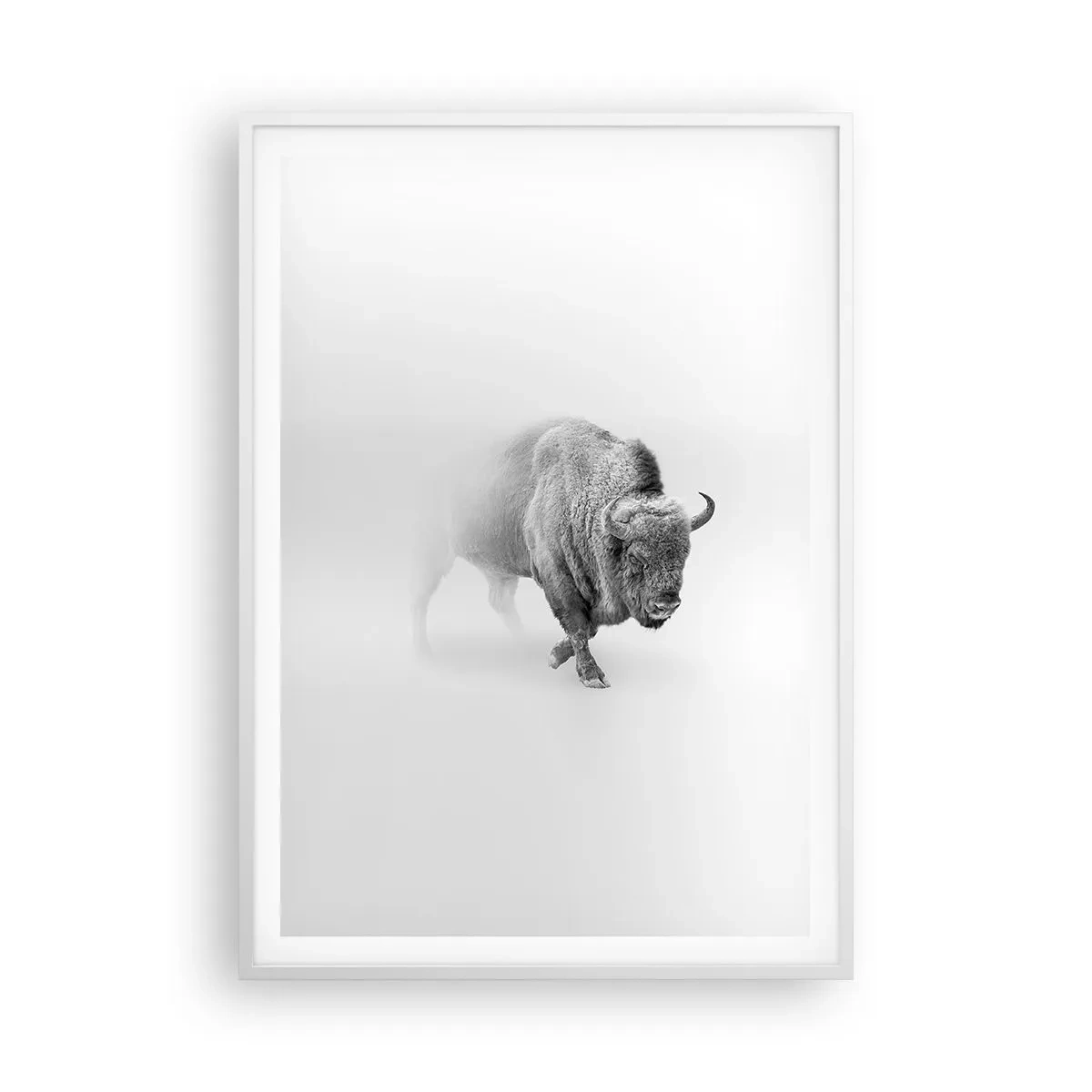 Poster in white frmae - King of the Prairie - 70x100 cm