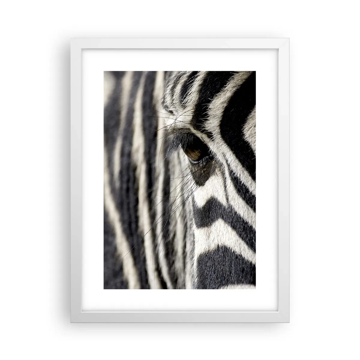 Poster in white frmae - Striped Portrait - 30x40 cm