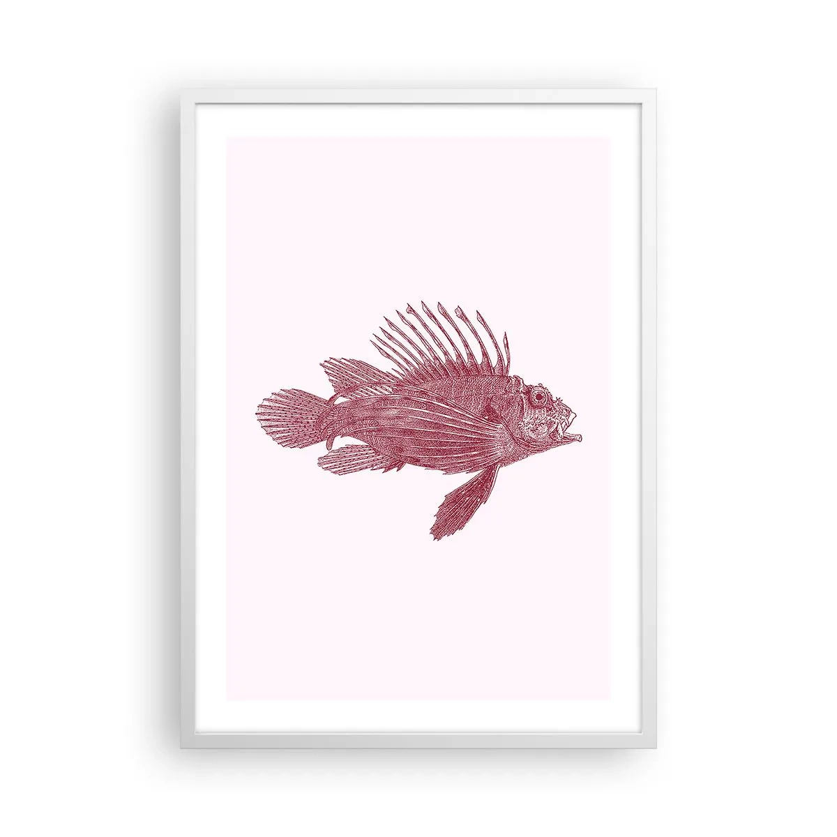 Poster in white frmae - Dweller of Exotic Waters - 50x70 cm