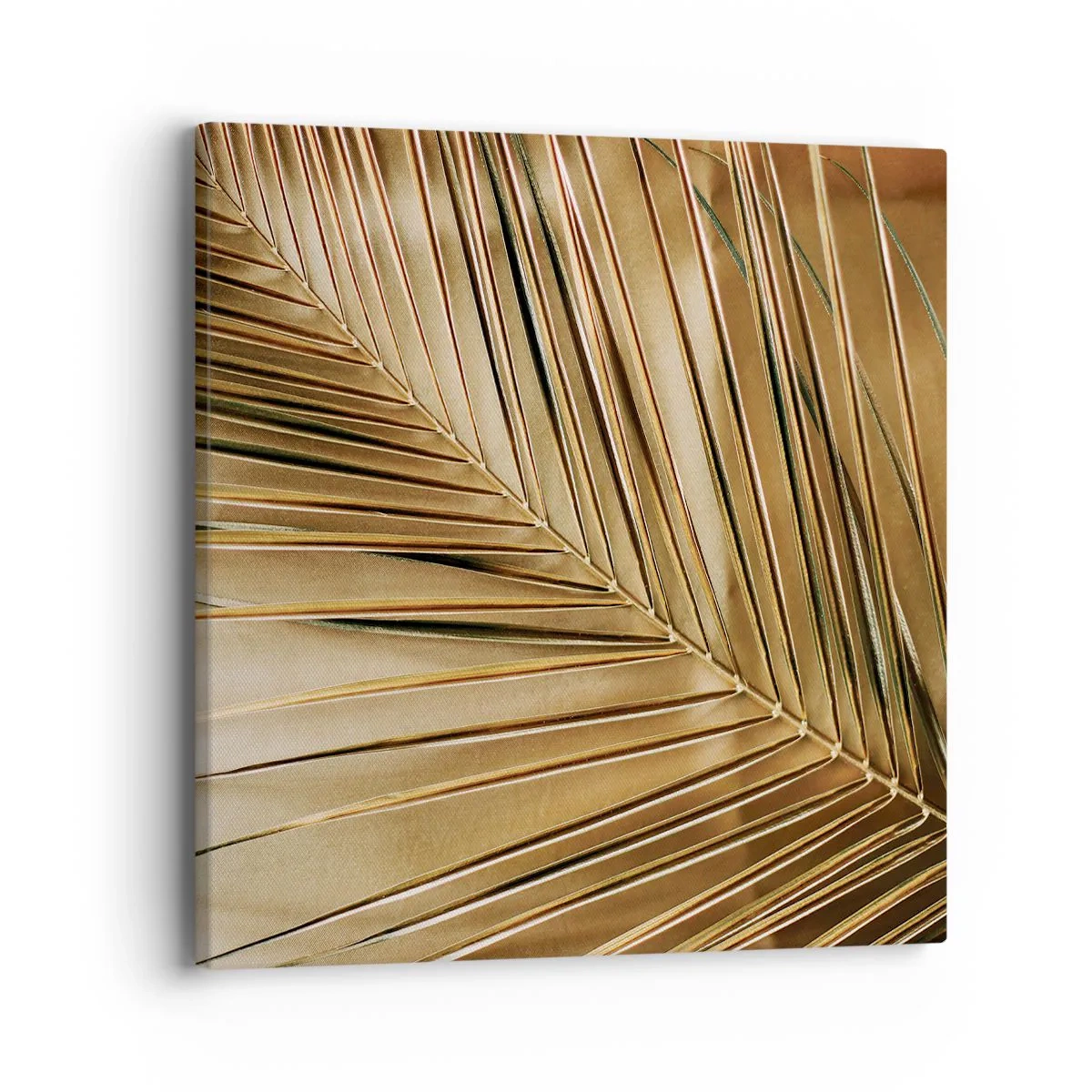 Canvas picture - Natural Colonnade - 40x40 cm