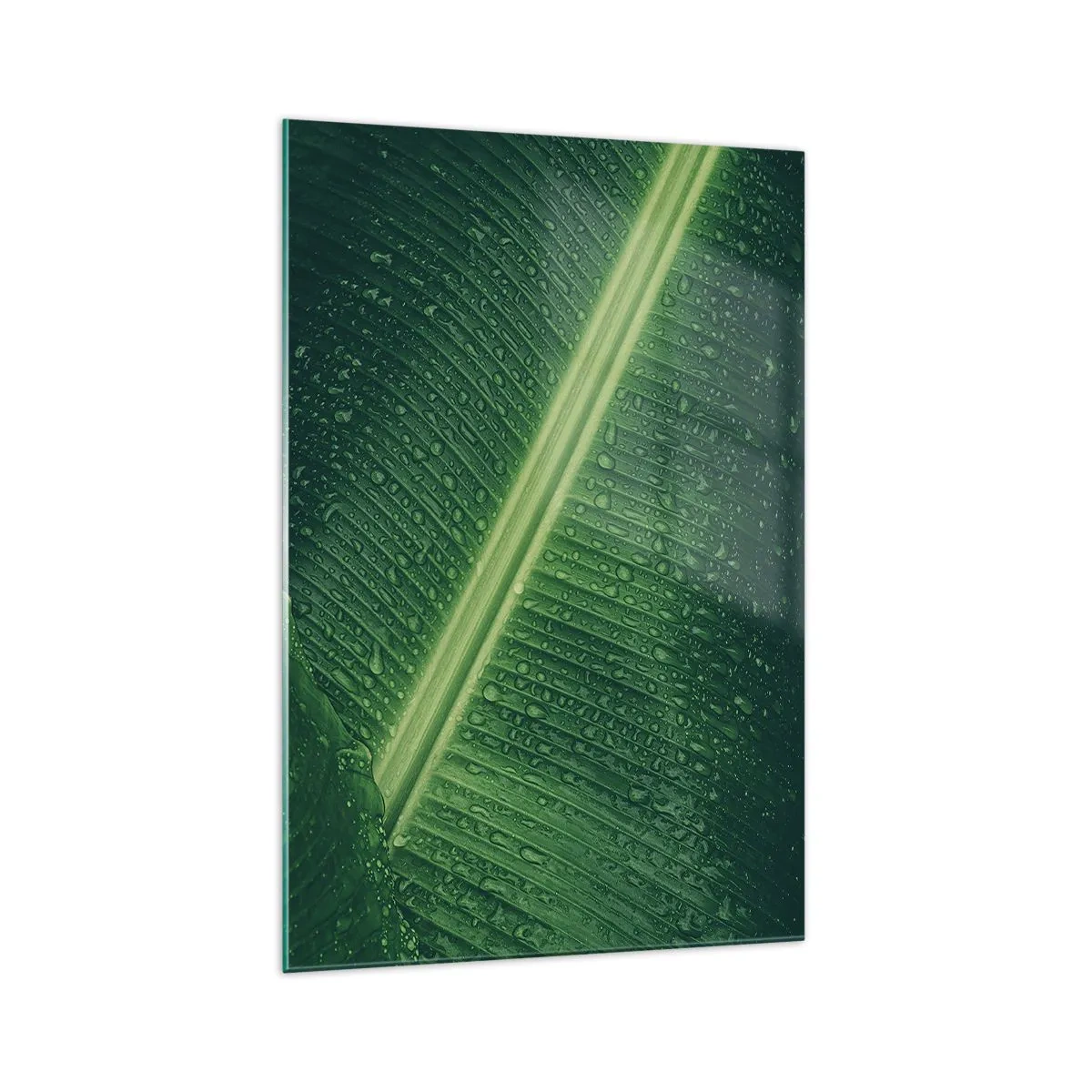 Glass picture - Structure of Green - 70x100 cm