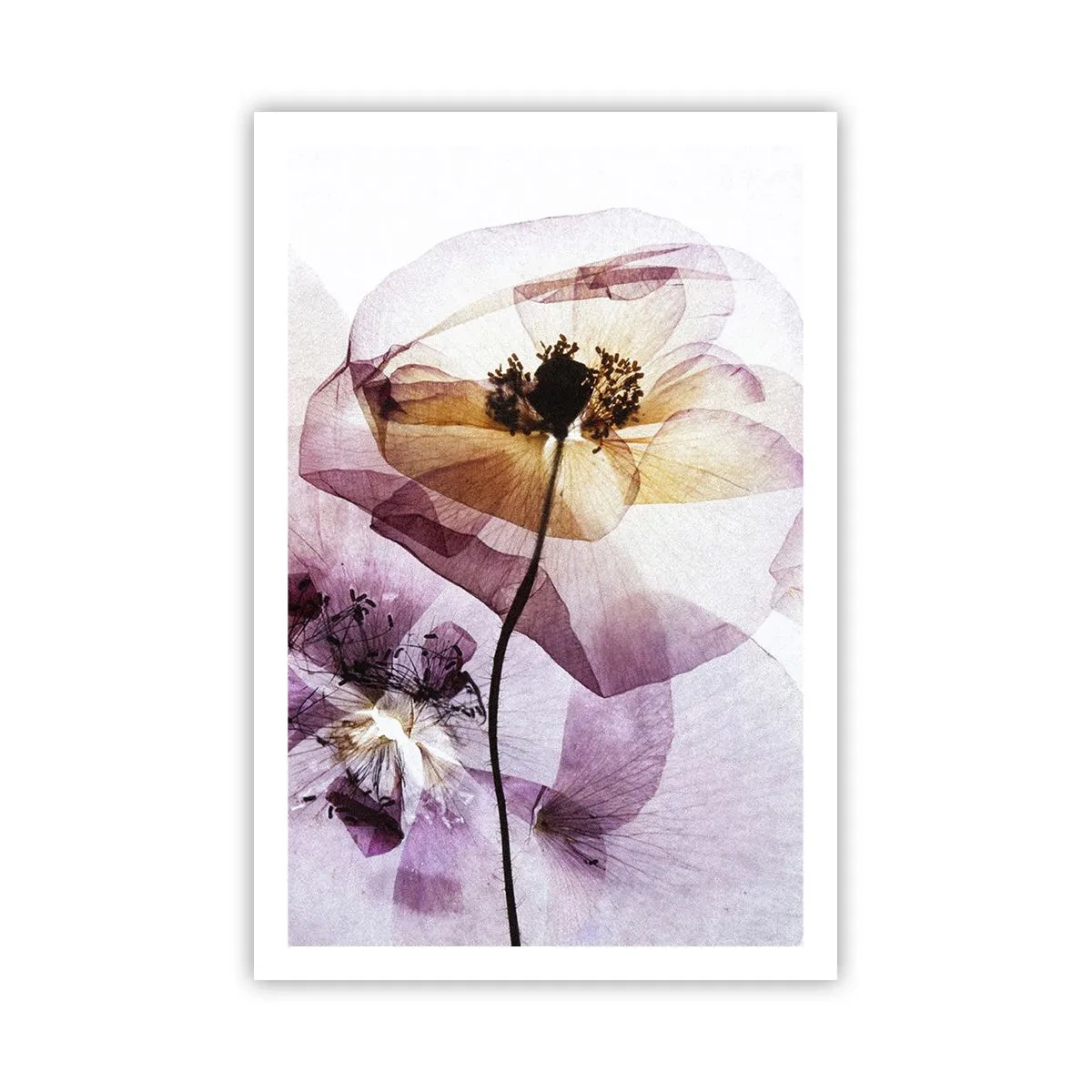 Poster - Flower Body Slide - 61x91 cm