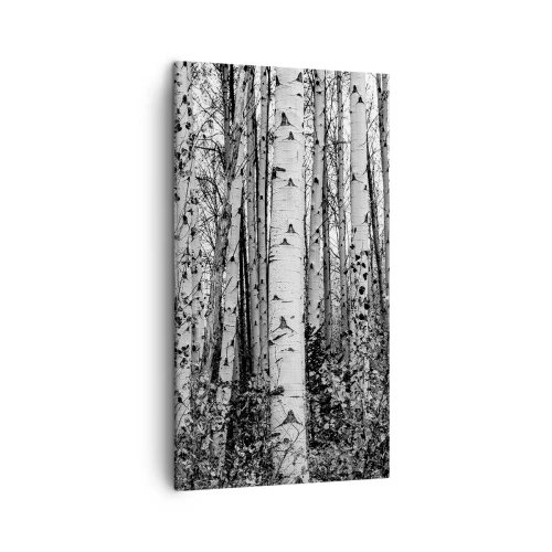 Canvas picture - Birch Colonnade - 45x80 cm