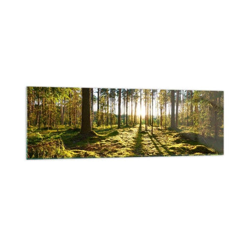 Glass picture - Deep in the Forest - 160x50 cm