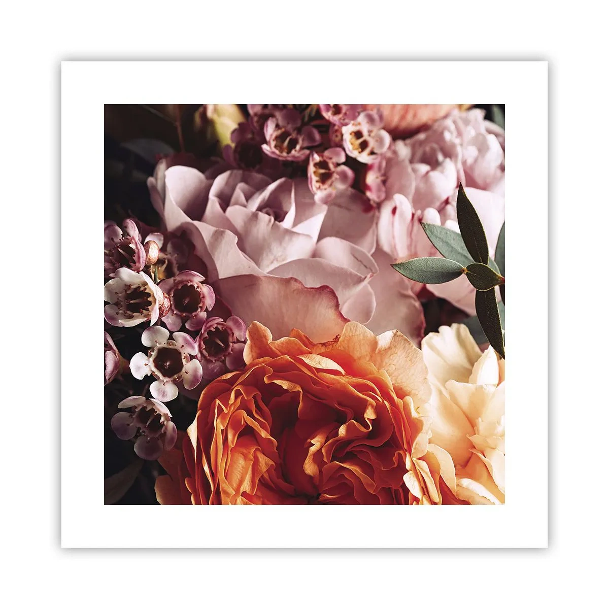 Poster - Wrapped by Beauty - 40x40 cm