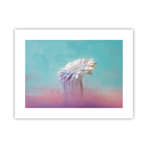 Poster - Afterlife of Flowers - 40x30 cm