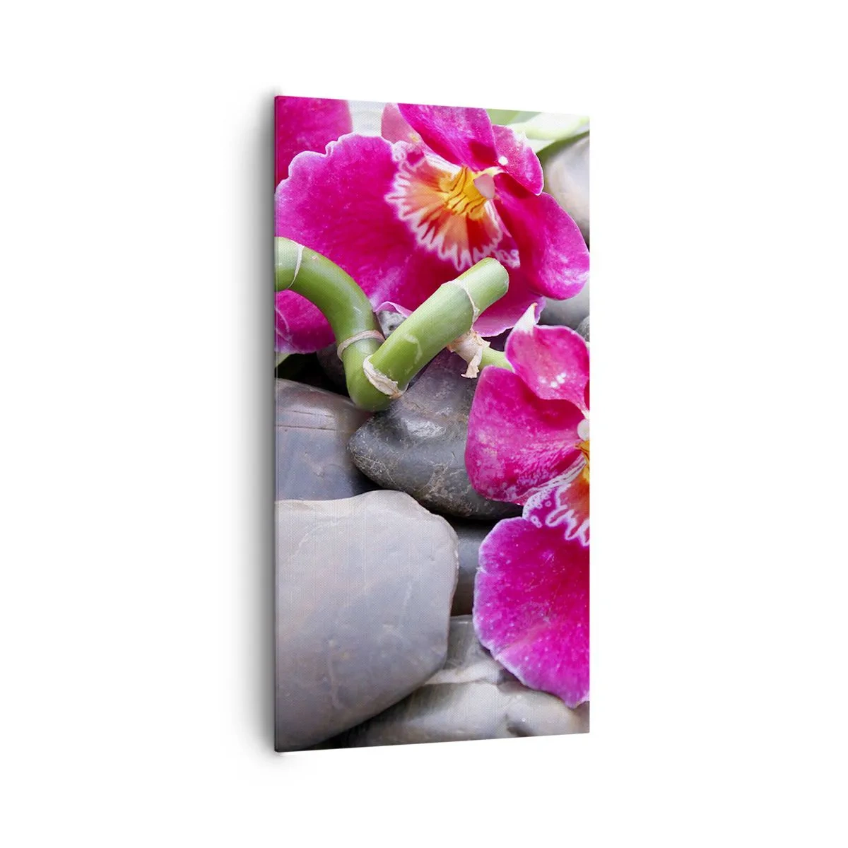 Canvas picture - Coolness and Heat - 65x120 cm